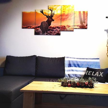 Apartament Lenka Karkonosze Leilighet Jelenia Góra Eksteriør bilde